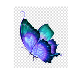 Kouser Khan-Freelancer in Chennai,India