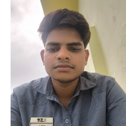 Sonu Kumar-Freelancer in Todabhim,India