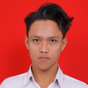 Hadi Santoso-Freelancer in ,Indonesia