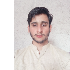 Muhammad Nouman Ali-Freelancer in ,India