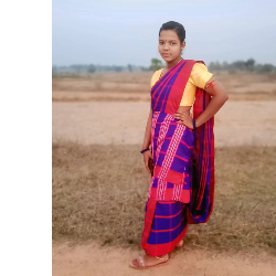 Dulari marndi-Freelancer in Baleswar,India