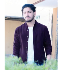 Hassan Shabbir-Freelancer in ,Pakistan