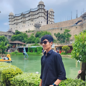 Himanshu Chouhan-Freelancer in Indore,India