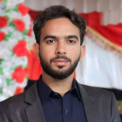 Zille Hassan-Freelancer in Mianwali,Pakistan