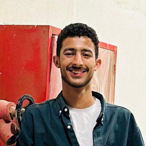 Mostafa Mohamed-Freelancer in Sadat city,Egypt