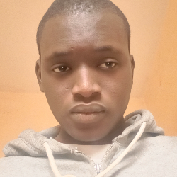 Tidiani Diakite-Freelancer in Bamako,Mali