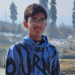 RidhamPatel-Freelancer in Surat,India