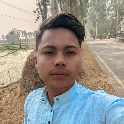 RIPAN BARMAN-Freelancer in Kolkata,India