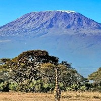 Ahmadi Ngelela-Freelancer in Mkuranga,Tanzania