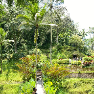 Kori koresy wanimbo-Freelancer in Mimika,Indonesia