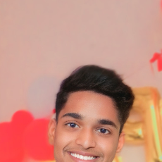 Sanskar Bhilware-Freelancer in Bina,India