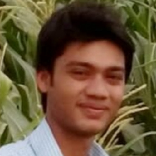Vikash Kumar Singh-Freelancer in Banbira,India