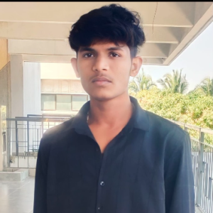 Athithyan V-Freelancer in Chennai,India