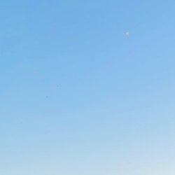 Prince Parmar-Freelancer in Surat,India