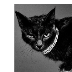 Marium Yaqoob-Freelancer in Karachi City,Pakistan