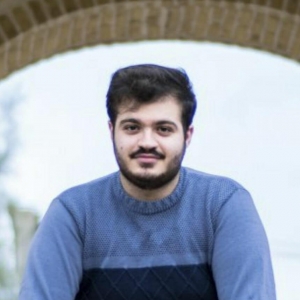 Mohammad Sabaeian-Freelancer in ,France