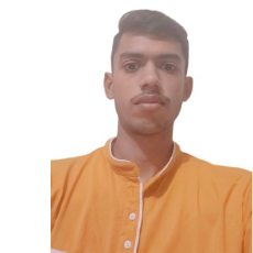 Ritesh Chauhan-Freelancer in Delhi,India