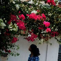 Neha Maria Prince-Freelancer in Kerala,India