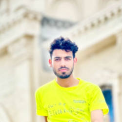 Ali Hassan-Freelancer in Talagang,Pakistan