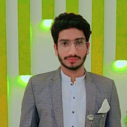 Muhammad Ahmad Shafique-Freelancer in Faisalabad,Pakistan