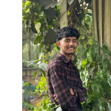 Reno-Freelancer in Kochi,India