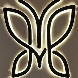 Rushik Ganji-Freelancer in Hyderabad,India