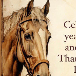 Jaya-Freelancer in Chennai,India