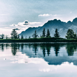 Bala Narasimha-Freelancer in chennai,India