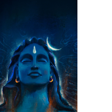 Sai Reddy-Freelancer in ,India
