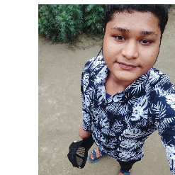 Sonai Mandal-Freelancer in Tehatta,India