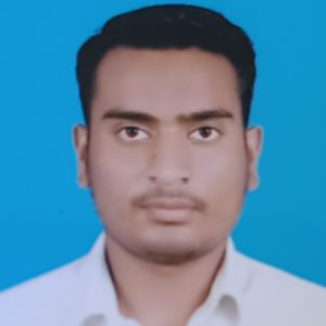 Ankit Kumar-Freelancer in PURNEA,India