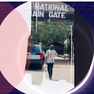 Sany Miles-Freelancer in Nairobi,Kenya