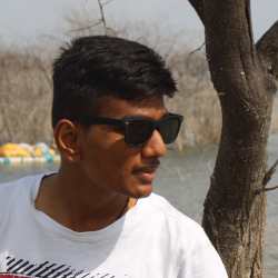 D rajashekar reddy-Freelancer in Hyderabad,India