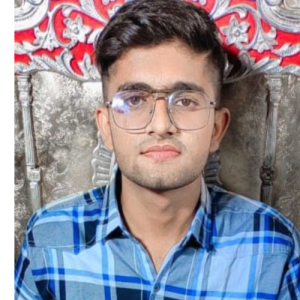 Zakir Hussain-Freelancer in Nagaur,India