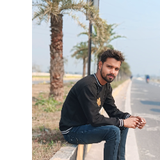 Umashankar Maurya-Freelancer in Sultānpur,India