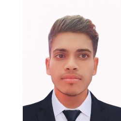 Md Moquaddasul Haque-Freelancer in Mohadevpur,Bangladesh