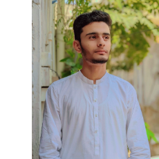 Hassan Mujeeb-Freelancer in Karachi,Pakistan