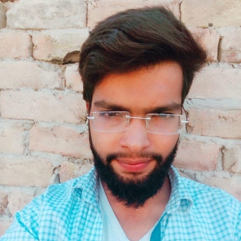 Ali Raza-Freelancer in Vehari,Pakistan