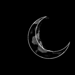 Anuja Namdeo-Freelancer in Pune,India