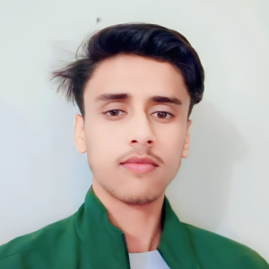 Mohammad Sahil Rayeen-Freelancer in Kaptanganj,India