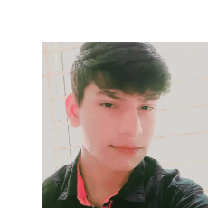 Sambhunath Satapathy-Freelancer in Jagatsinghpur,India