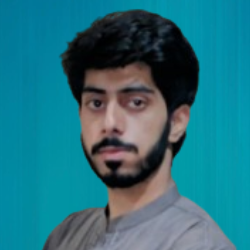 Kashan Siddique-Freelancer in Multan,Pakistan