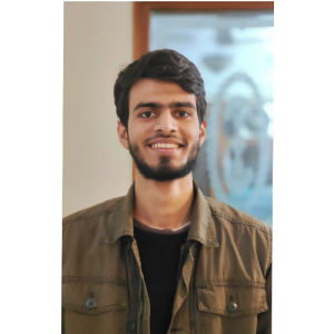 Mohammad Ibrahim-Freelancer in Delhi,India