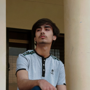 Ali Jahanian-Freelancer in Ahmedpur Sial,Pakistan