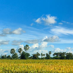 Emmanuel 123-Freelancer in Hyderabad,India