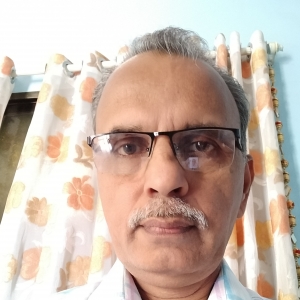 Pratap Manthekar-Freelancer in ,India