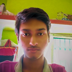 Pritam Mandal.com2006-Freelancer in Kolkata,India