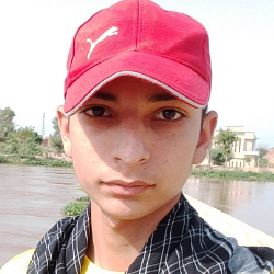 Mr Waleed Ahmed Bhatti-Freelancer in okara,Pakistan