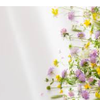 Fathima Ishara-Freelancer in Colombo,Sri Lanka