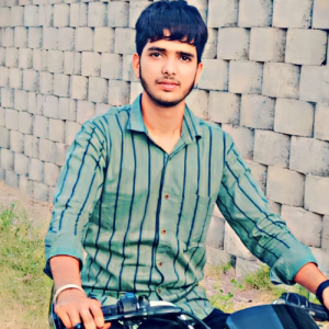 Anmol-Freelancer in Hisar,India